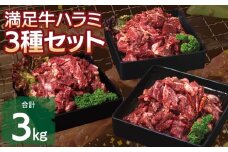【満足牛ハラミ】3種セット （甘辛タレ漬け・中辛タレ漬け・オリジナルスパイス仕込み）  合計3kg 【味付け ハラミ 小分け 焼くだけ 簡単調理 BBQ 牛肉 250g×12P】