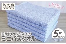 普段使いにぴったりのミニバスタオル 5枚【サックス 泉州タオル 高品質 綿100％ 日本製 国産 単色 シンプル】