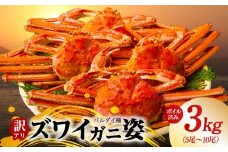 【訳あり規格】バルダイ種 ズワイガニ姿 3kg（5～10尾）【ボイル済み オオズワイガニ かに カニ 蟹 ズワイガニ ファミリー向け】