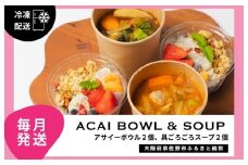 【定期便】アサイーボウル 2個＆具ごろごろスープ 2個 全12回【毎月配送コース】