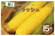 【先行予約】ゴールドラッシュ 15本【新鮮 野菜 泉佐野産 とうもろこし コーン やさい TONOファーム 数量限定】