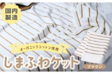 しまふわケット 1枚 ブラウン【国産 日本製 タオルケット シングル 寝具 オーガニックコットン 綿100%】