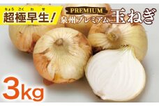 超極早生！泉州プレミアムたまねぎ 3kg 玉ねぎ