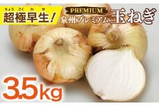 【先行予約】泉州たまねぎ 3.5kg【超極早生 玉ねぎ 農家直送 新鮮 野菜 やさい 期間限定】