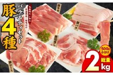 豚肉 4種 食べ比べセット 2kg【500g×4P 氷温熟成×極味付け 小分け ぶたにく 普段使い 野菜炒め お楽しみ 訳あり 部位不揃い】