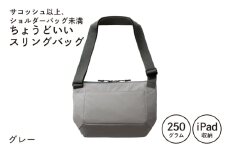 【スピード発送】ちょうどいいスリングバッグ グレー【超軽量 サコッシュ ショルダーバッグ サブバッグ かばん 鞄】