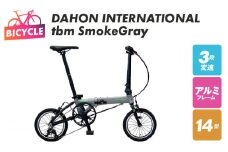 DAHON INTERNATIONAL tbm Smoke Gray