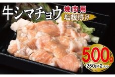 牛シマチョウ 焼肉用 塩麹漬け 500g【味付け 小分け 250g×2P 焼くだけ 簡単調理 BBQ 牛肉 ホルモン お試し】