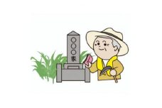 ＜2区画＞お墓清掃(除草含む。)及びお墓参り代行サービス(墓花入れ替え含む。)【1242756】