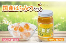 国産蜂蜜セット(アカシア蜜とはちみつキャンディ) はちみつと飴の詰合せ【1272707】