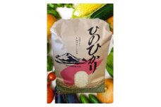 2023年度産 産地直送＜米5kgと野菜詰合せ＞旬のお野菜お楽しみセット【1305444】