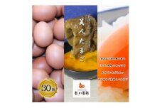 ＜生みたて濃厚＞谷川養鶏の美人たまご　30ヶ入り(※サイズ指定できません)【1390250】