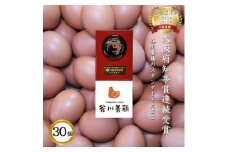 ＜生みたて濃厚＞谷川養鶏の赤たまご　30ヶ入り(※サイズ指定できません)【1390294】