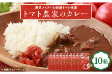 ＜大阪産＞トマト農家のカレー10箱　簡単便利でとってもおいしいあると便利な一品/保存食にも便利【1316538】