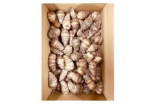 ＜GI認証取得＞とんだばやしの海老芋の孫芋　1箱(5kg)【1433046】