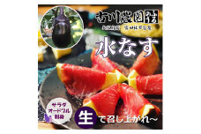 ＜産地直送＞古川農園　「水なす」そのまま食べられる生野菜でお届け!2個入×10袋【1484515】