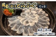 ＜冷蔵＞国産活けとらふぐてっさ・ひれセット　約2～3人前　ヒレ酒も楽しめます!＜配送不可エリア注意＞【1517433】