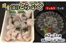 ふぐ鍋セット　国産活けとらふぐてっさ・てっちりセット約2～3人前　ヒレ付き＜配送不可エリア注意＞【1517414】