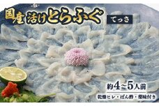 ＜冷蔵＞国産活けとらふぐてっさ・ひれセット　約4～5人前　ヒレ酒も楽しめます!＜配送不可エリア注意＞【1517440】