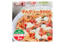 ＜3枚＞古川農園のトマトと水牛モッツァレラチーズのマルゲリータDOC ピッツァ【1531955】