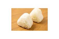 できたてのおいしさそのまま!冷凍おにぎり20個セット(2種類×各10個)【1574034】