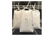 ＜3キロ白米＞富田林産のお米「嬉さん」/ヒノヒカリ　　小袋なのでお裾分け、プレゼント、保管も便利です【1595958】