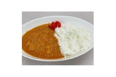 《5人前入り》海老芋チキンカレー　「中辛」　ご当地カレー【1633033】