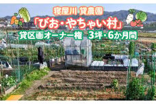 寝屋川農園「びお・やちゃい村」貸区画オーナー権 (3坪・6か月間)｜貸し農園 家庭菜園 自家栽培 収穫体験 農業体験 果物 野菜 数量限定 大阪府 寝屋川市 [0022]