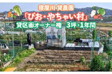 寝屋川農園「びお・やちゃい村」貸区画オーナー権 (3坪・1年間)｜貸し農園 家庭菜園 自家栽培 収穫体験 農業体験 果物 野菜 数量限定 大阪府 寝屋川市[0023]