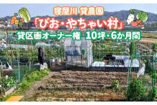 寝屋川農園「びお・やちゃい村」貸区画オーナー権(10坪・6か月間)｜貸し農園 家庭菜園 自家栽培 収穫体験 農業体験 果物 野菜 数量限定 大阪府 寝屋川市 [0026]