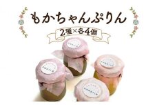 熟練フレンチシェフが本気で作った昔ながらのしっかりとした硬さと味わいの「もかちゃんぷりん」人気の2種×各4個セット｜プリン レトロ スイーツ デザート 洋菓子 贈答用 贈り物 ギフト プチギフト プレゼント 手土産 個包装 おすそ分け おやつ [0094] 