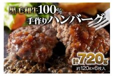 [黒毛和牛100%] 手作りハンバーグ 6個セット (120g×6個) ｜お肉 肉 牛肉 惣菜 冷凍 簡単調理 おかず おつまみ 贈答用 贈り物 ギフト 個包装 小分け [0440]