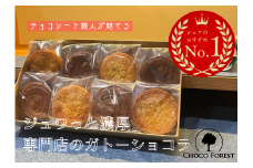 チョコレート専門店「濃厚ガトーショコラ2種 (各4点) 計8点」｜スイーツ デザート 菓子 お菓子 洋菓子 贈り物 ギフト プチギフト プレゼント 手土産 おやつ 小分け 包装 パック [1189]