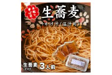 ＜12/31着（時間指定不可）＞年越しそばに！生蕎麦３人前＋かけ汁（温汁用出汁）３人前　年越しそば 年越そば 年越し蕎麦 年越蕎麦 そばセット 蕎麦 ふるさと納税年越しそば 家族年越しそば 老舗 送料無料
