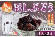 ほしぶどう 40g×5袋 国産 ドライフルーツ 無添加 複数品種 希少 レア 小分け 干し葡萄 干しぶどう 干しブドウ 無添加 保存食 備蓄食 常備食 食物繊維 鉄分 無添加 複数品種 希少 レア 小分け干し葡萄 ほしぶどう 無添加 防災食品 保存食 備蓄食 常備食 食物繊維 鉄分 ポリフェノール レーズン 製菓 製パン グラノーラ おやつ おつまみ 送料無料