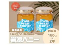 岩湧ハニー 純粋百花はちみつ 160g×2本セット 非加熱 無添加 国産天然はちみつ 大阪府 河内長野市 健康 美容 ギフト ダイエット 百花蜜 健康習慣 健康維持 ビタミン ミネラル 酵素 生活習慣病予防 免疫力 スーパーフード パンケーキ ヨーグルト アサイー 朝食 おやつ 手土産 コーヒー 紅茶 ドリンク 珈琲 プレゼント 岩湧山 トースト はちみつ 蜂蜜 ハチミツ