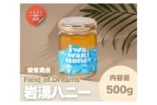 岩湧ハニー 純粋百花はちみつ 500g×1本セット 非加熱 無添加 国産天然はちみつ 大阪府 河内長野市 健康 美容 ギフト ダイエット 百花蜜 健康習慣 健康維持 ビタミン ミネラル 酵素 生活習慣病予防 免疫力 スーパーフード パンケーキ ヨーグルト アサイー 朝食 おやつ 手土産 コーヒー 紅茶 ドリンク 珈琲 プレゼント 岩湧山 トースト はちみつ 蜂蜜 ハチミツ