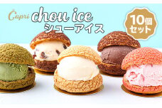 シューアイス GIFT BOX 10個セット　シュークリーム チョコ バニラ アイス お菓子 個包装 おやつ デザート スイーツ かわいい スウィーツ 洋菓子 小分け 一人暮らし 大人気 お取り寄せグルメ 人気 冷凍配送 送料無料 母の日 父の日 贈り物 プレゼント