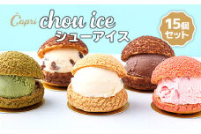 シューアイス GIFT BOX 15個セット　シュークリーム チョコ バニラ アイス お菓子 個包装 おやつ デザート スイーツ かわいい スウィーツ 洋菓子 小分け 一人暮らし 大人気 お取り寄せグルメ 人気 冷凍配送 送料無料 母の日 父の日 贈り物 プレゼント