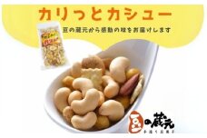豆の蔵元　「カリっとカシュ―」120g×6パック　おかき 豆 豆菓子 せんべい 進物 お菓子 大容量 お豆 人気 送料無料 おいしい おつまみ あられ