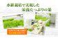水耕栽培で実現した栄養たっぷりの葉 みずみずしく育った葉は味も栄養も抜群です！