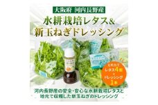 とれたてレタスと玉ねぎドレッシングセット サラダ 副菜 常備野菜 炒め物 スープ チャーハン 鍋料理 巻物 冷製料理 朝食 昼食 夕食 付け合わせ サンドイッチ ハンバーガー お弁当 ダイエット