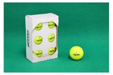 お得セットロストボール　6個×6　【HONMA　D1　シリーズ　イエローのみ】 ゴルフ ゴルフボール ボール洗浄選別済み 練習用カラーボール カラフル 送料無料   