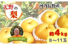＜2025年９月～発送＞【河内長野産】天野の梨　8~11玉 期間限定 フルーツ 果物 なし ナシ 梨 樹上完熟の梨 美味しい梨 旬 河内長野 送料無料 ※発送前の注意事項を十分ご確認ください※
