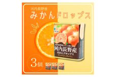 みかんドロップス　3個セット 河内長野産みかん果汁使用 大阪産品  果汁みかん オレンジ ミカン おやつ お菓子 