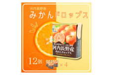 みかんドロップス　12個セット 河内長野産みかん果汁使用 大阪産品  果汁みかん オレンジ ミカン おやつ お菓子 
