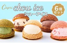 シューアイス GIFT BOX 6個セット　シュークリーム チョコ バニラ アイス お菓子 個包装 おやつ デザート スイーツ かわいい スウィーツ 洋菓子 小分け 一人暮らし 大人気 お取り寄せグルメ 人気 冷凍配送 送料無料 母の日 父の日 贈り物 プレゼント