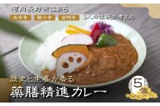 歴史と生姜が香る 薬膳精進カレー ５個 観心寺 金剛寺 延命寺 住職発案 人気レストラン 創作精進料理KU-RI 監修 肉 魚 五辛 不使用 健康 簡単調理 レトルトパック こだわりの逸品 地域特産品 ギフト 自分用 人気 おすすめ