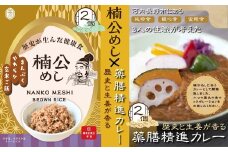 楠公めし 2個　歴史と生姜が香る 薬膳精進カレー 2個 セット　楠木正成公 玄米 健康 武士 中世 観心寺 金剛寺 延命寺 住職発案 人気レストラン 創作精進料理KU-RI 監修 簡単調理 こだわりの逸品 地域特産品 ギフト 自分用 人気 おすすめ