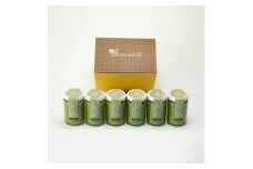 最高級抹茶プリン『おうす』6個入り プリン 高級抹茶プリン 高級 抹茶 プリン 高級プリン 抹茶プリン 抹茶スイーツ 老舗茶園 寺川大福園 高級抹茶 スイーツ ぷりん まっちゃ プレゼント 贈り物 贈答品 ギフト ご褒美 大阪府 松原市  